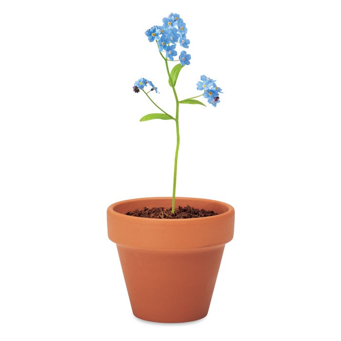 FORGET ME NOT - Potje Vergeet-me-nietjes