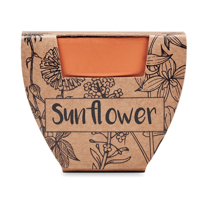 SUNFLOWER - Potje Zonnebloem