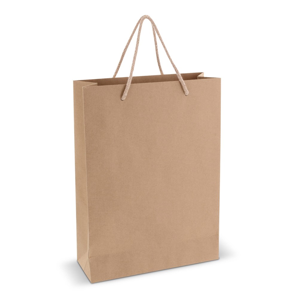 Papieren geschenktas 120g/m² 24x12x33cm
